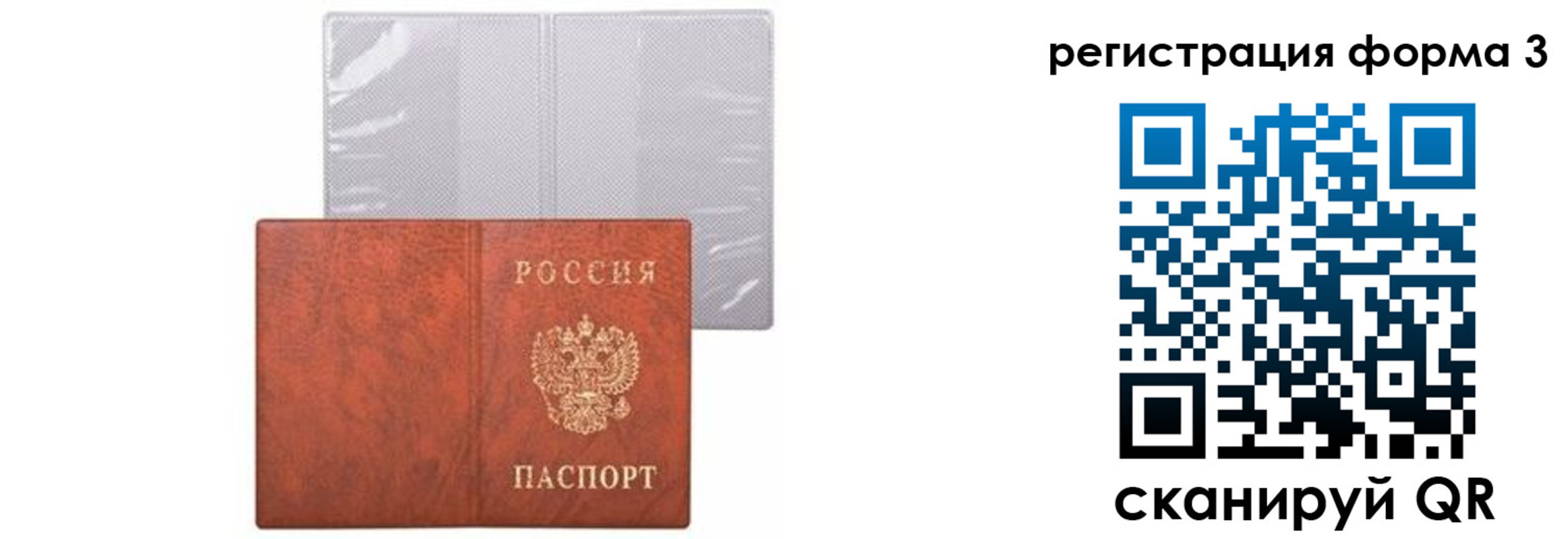 прописка 2025 в Краснозаводске